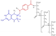 Biosynthesis of vitamin B9 in plants. Applications