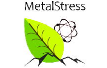 Métabolisme et stress