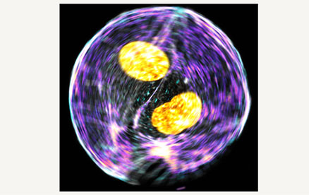 Valse des cellules : la plus forte mène la danse 