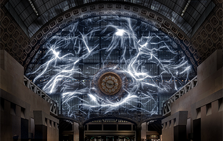 Spectacle immersif au coeur des dynamiques cellulaires