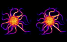 Auto-assemblage moléculaire reproduisant le mouvement ondulatoire des flagelles, responsables de la motilité des spermatozoïdes