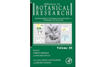 Biosynthesis of vitamins in plants Part A: Vitamins A, B1, B2, B3, B5